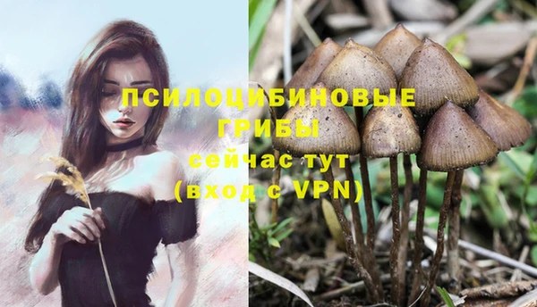 mix Алексин
