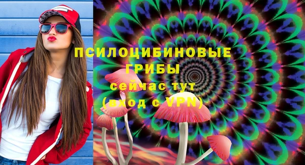 МДПВ Алзамай
