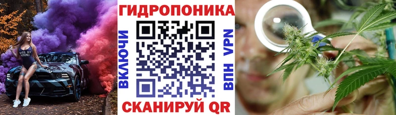 Конопля план дарнет шоп Богучар